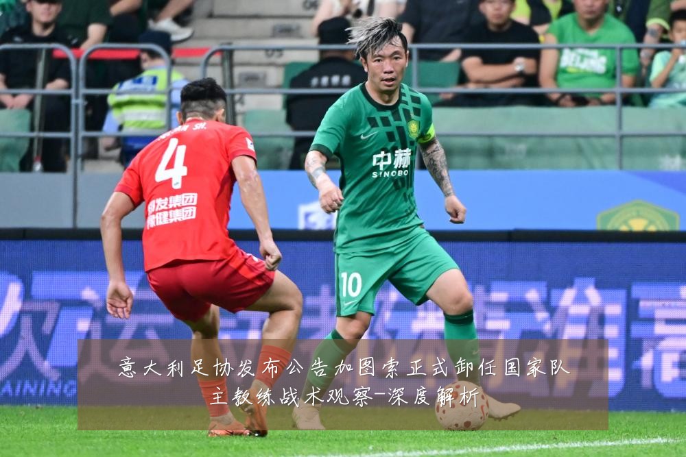 意大利足协发布公告加图索正式卸任国家队主教练战术观察-深度解析