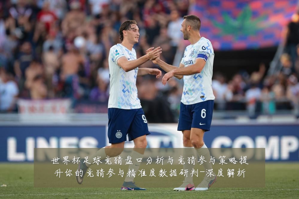 世界杯足球竞猜盘口分析与竞猜参与策略提升你的竞猜参与精准度数据研判-深度解析